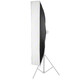 walimex pro Striplight 25x150cm für Multiblitz P