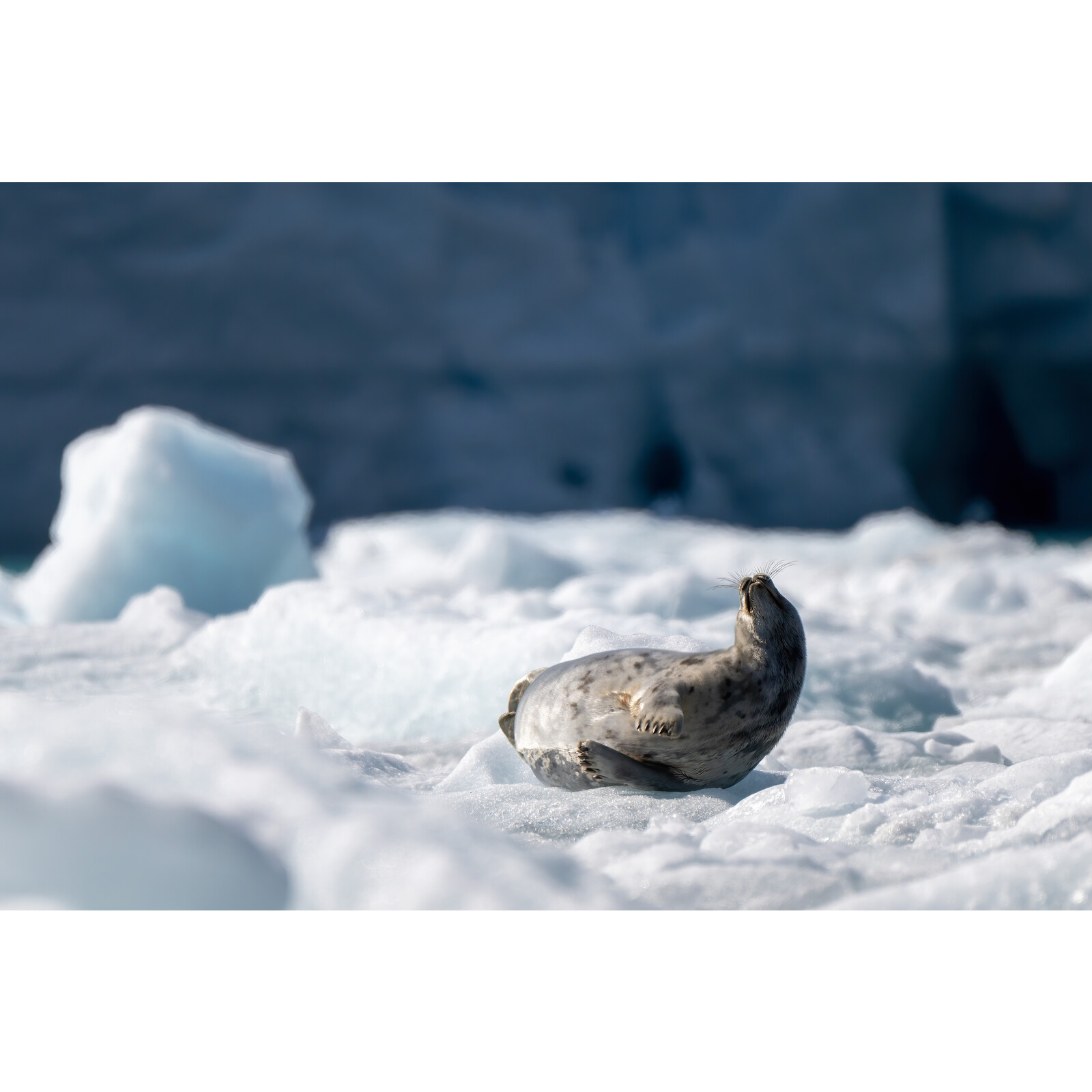 Tamron 150-500mm F/5-6.7 Di III VC VXD Nikon Z