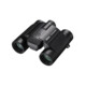 Nikon Stabilized 10x25 S