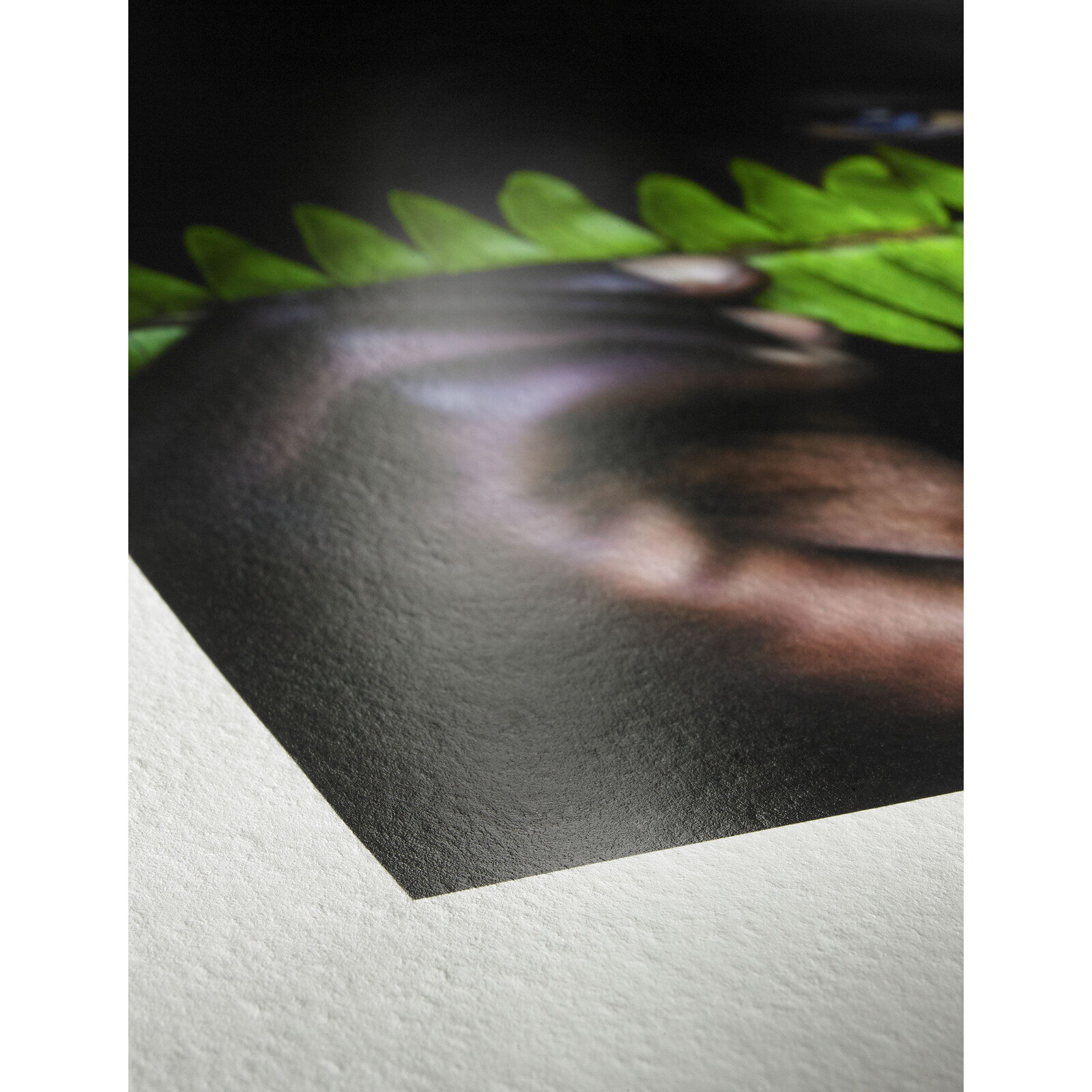 Hahnemühle Photo Rag Pearl 320gsm A2 25 Blatt 