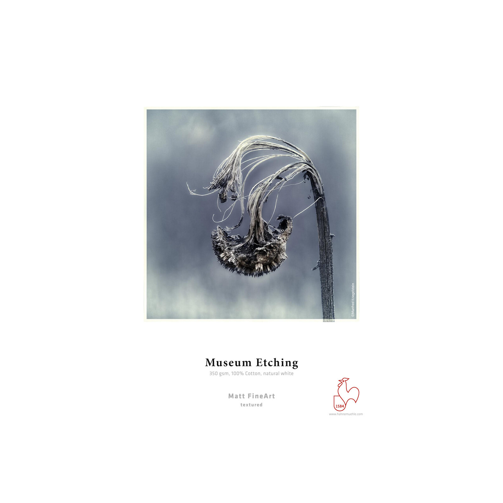 Hahnemühle Museum Etching Deckel Edge 350gsm A3+ 25 Blatt 