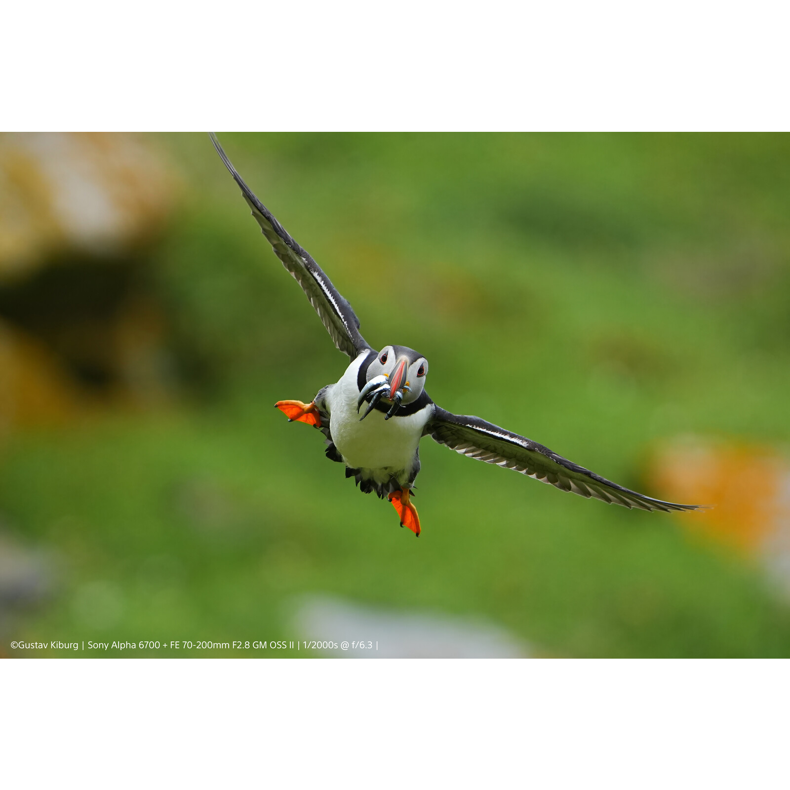 Sony Alpha 6700 Gehäuse