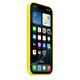Apple iPhone 16 Pro Silikon Case mit Magsafe star fruit 