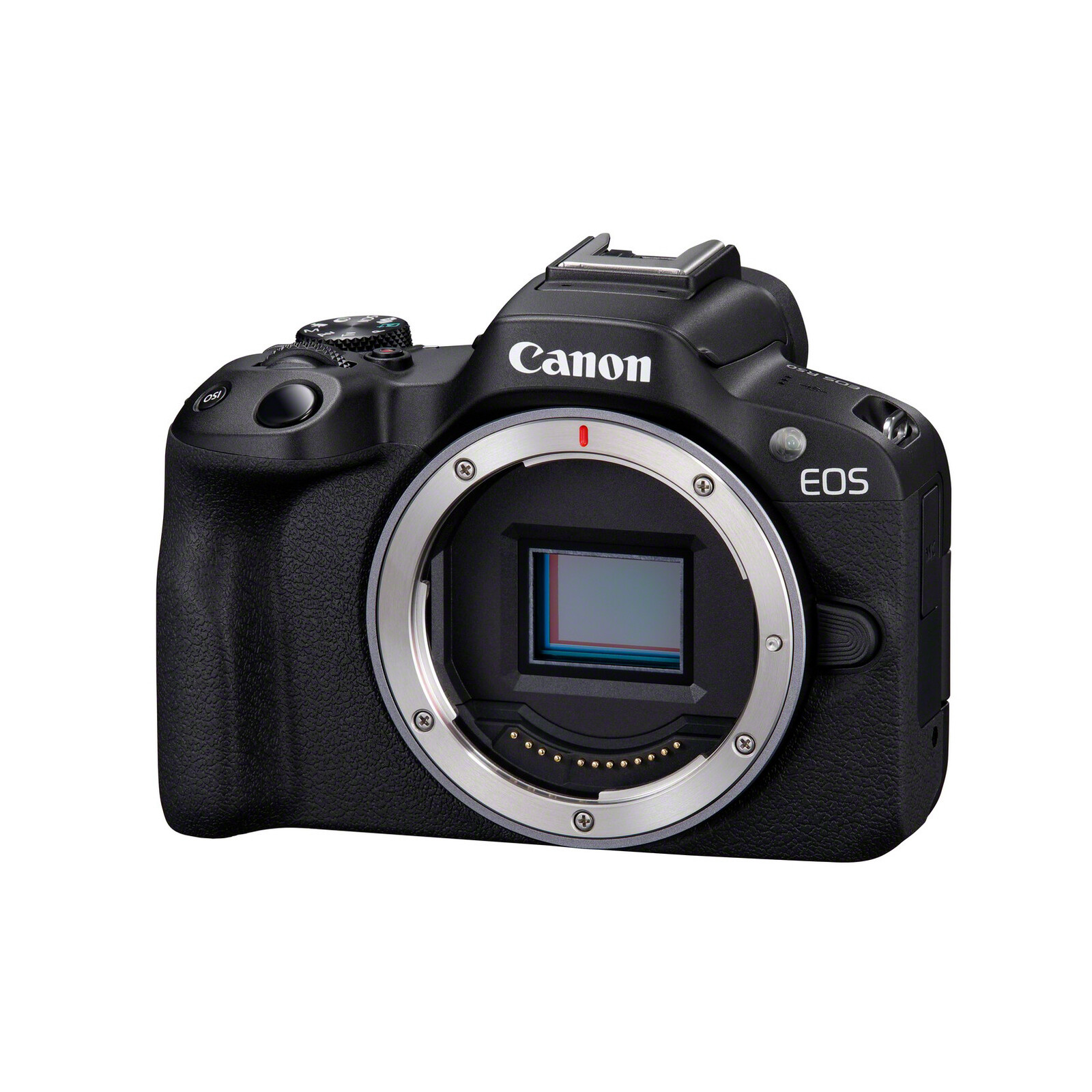 Canon EOS R50 Gehäuse Schwarz