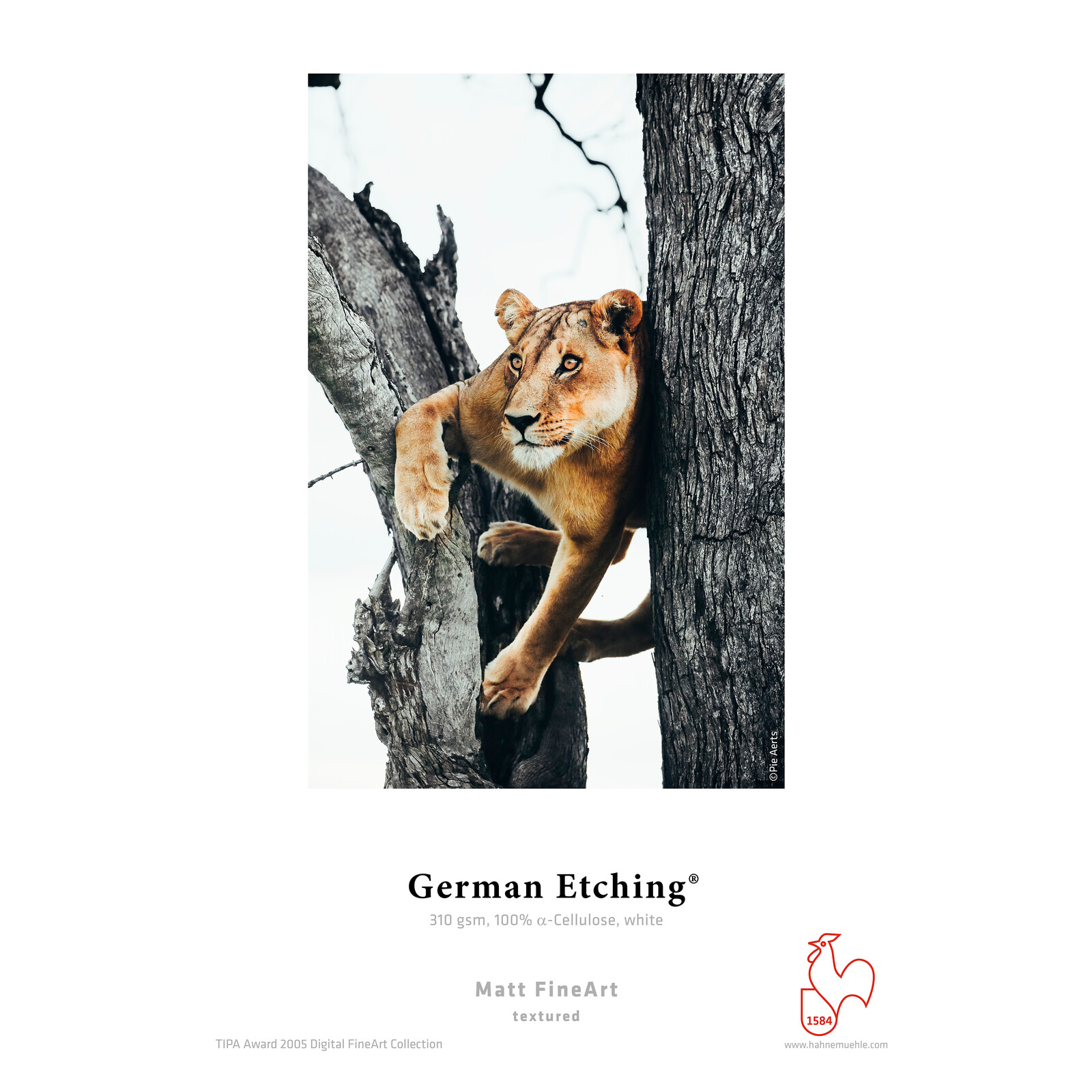 Hahnemühle German Etching 310gsm A2 25 Blatt 