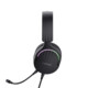 Trust GXT490 FAYZO 7.1 USB Headset schwarz 