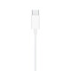 Apple EarPods mit USB-C Anschluss