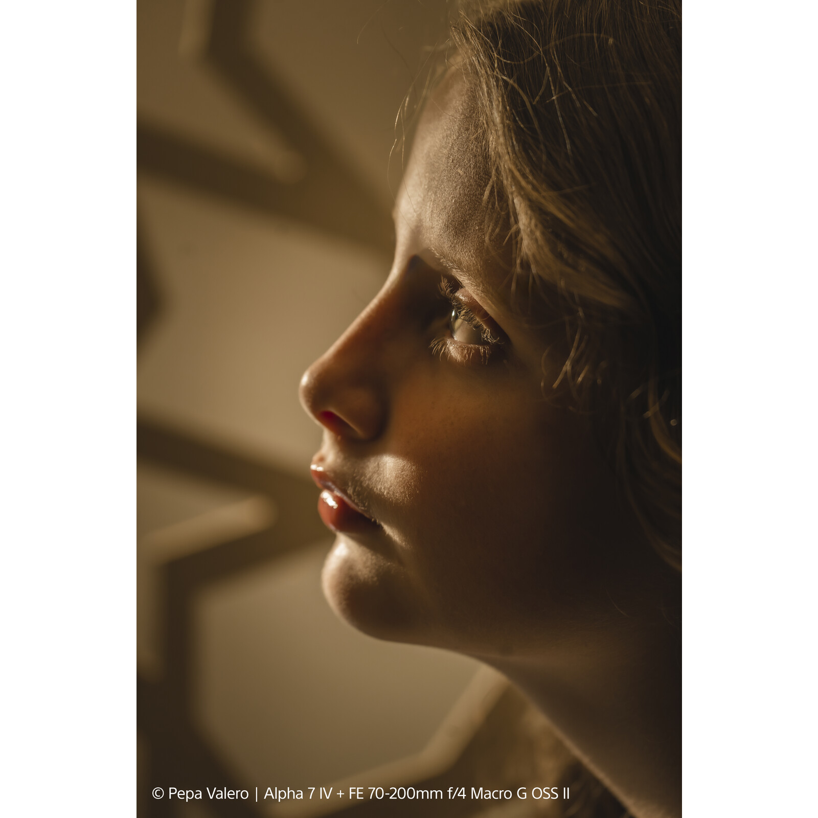 Sony SEL FE 70-200/4,0 G OSS II