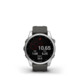 Garmin Fenix 7S silver/graphite