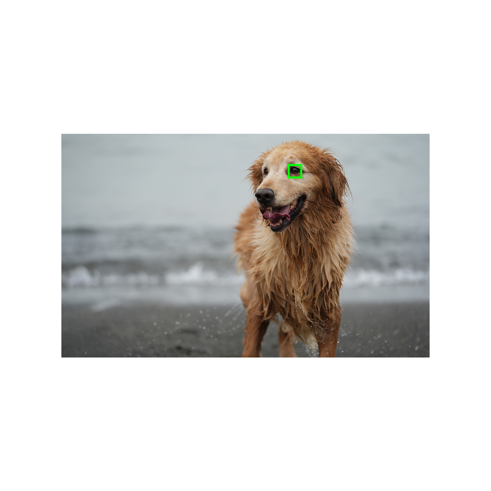 Sony Alpha ZV-E10 Gehäuse