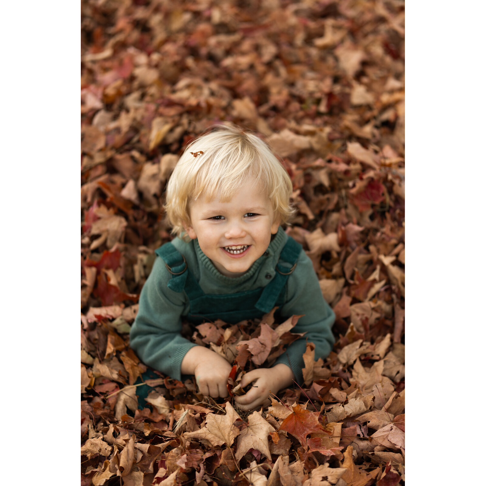 Sigma 56/1,4 DC DN Canon RF