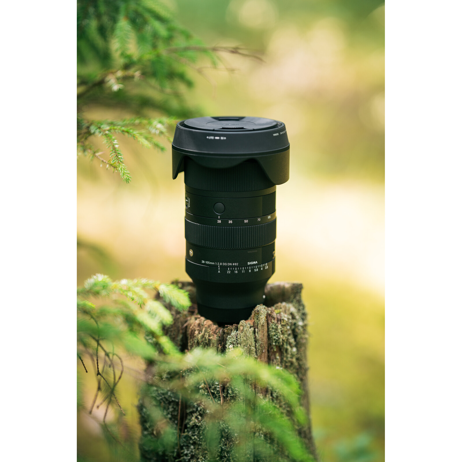 Sigma 28-105/2,8 DG DN Sony E