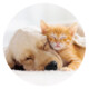 Popsockets Basic Cat & Dog