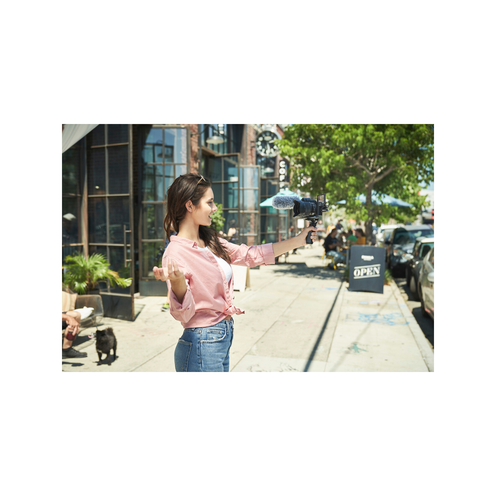 Sony ALPHA 6600 + SEL 18-135/3,5-5,6 OSS
