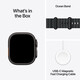 Apple Watch Ultra 2 LTE 49mm black Titanium Case + black