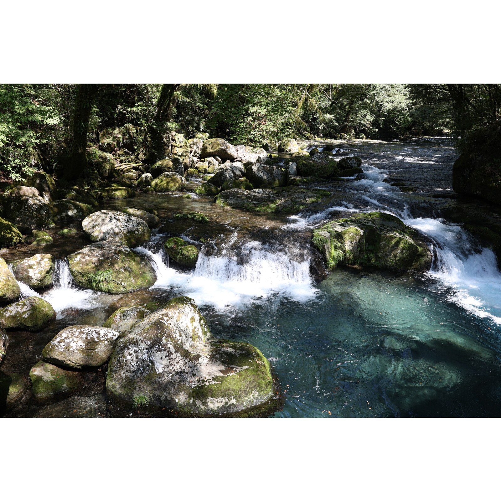 Canon RF 24-50/4.5-6.3 IS STM​