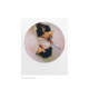 Polaroid 600 Color Round Frame