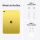 Apple iPad LTE 10,9" 256GB gelb 10. Gen 