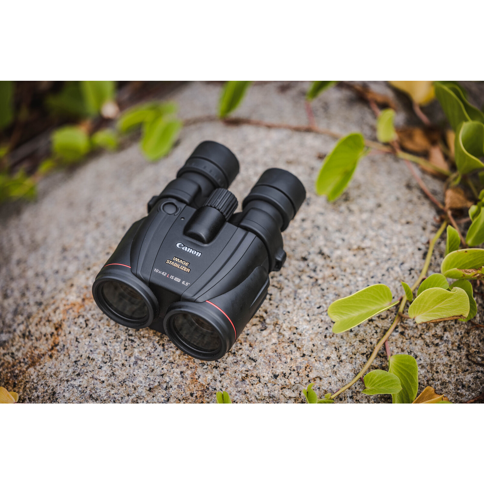 Canon 10X42L IS WP Fernglas