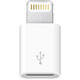 Apple Lightning/Micro USB Adapter