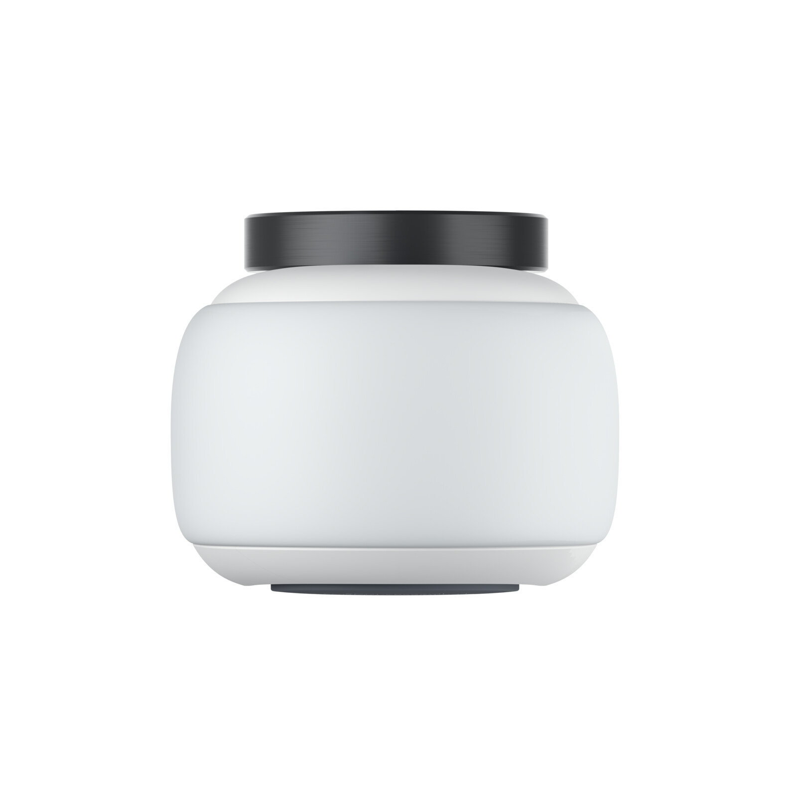 Insta 360 Go 2
