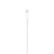 Apple Lightning auf USB Kabel 1m