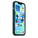 Apple iPhone 13 Leder Case mit MagSafe schwarz