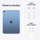 Apple iPad LTE 10,9" 256GB blau 10. Gen