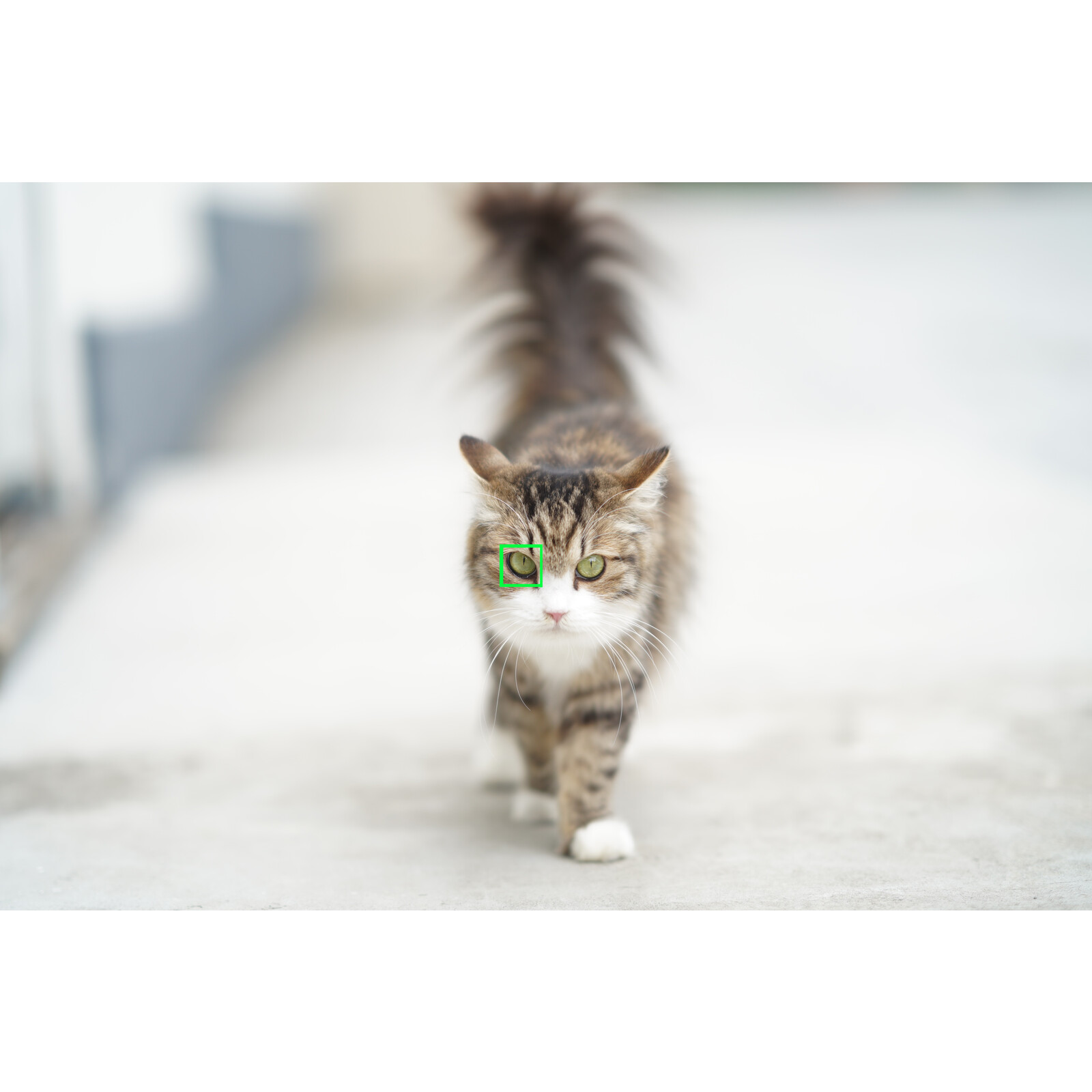 Sony ALPHA 7C + FE 28-60/4-5,6 schwarz