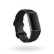 Fitbit Charge 5 Black/ Graphite Stainless Steel