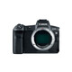 Canon EOS R + RF 24-105/4,0-7,1 IS STM
