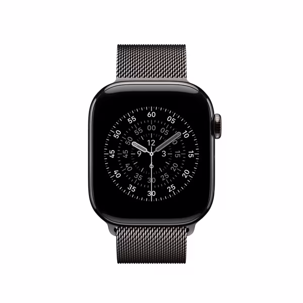 Apple Watch 42mm Slate Milanaise Loop
