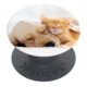 Popsockets Basic Cat & Dog