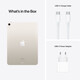 App iPad Air Wi-Fi 256GB polarstern 10.9" 5.Gen