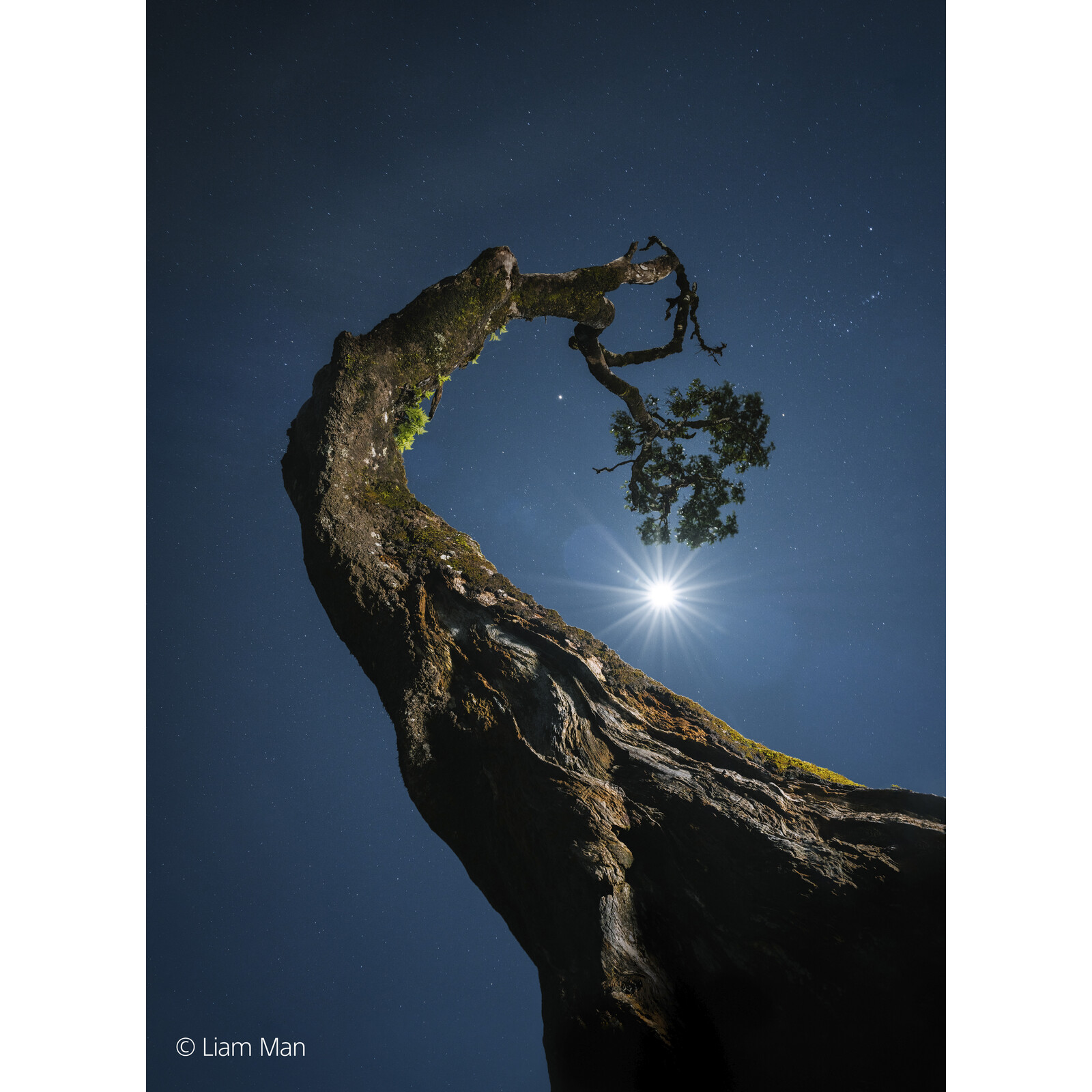 Sony SEL FE 20-70/4,0 G