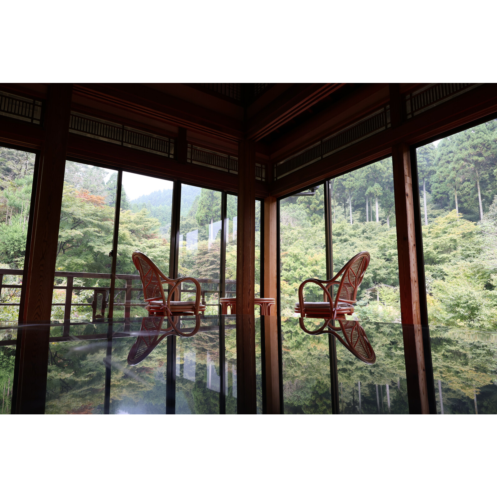 Canon RF 24-50/4.5-6.3 IS STM​