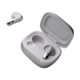 JBL Live Flex 3 In-Ear BT Kopfhörer silber