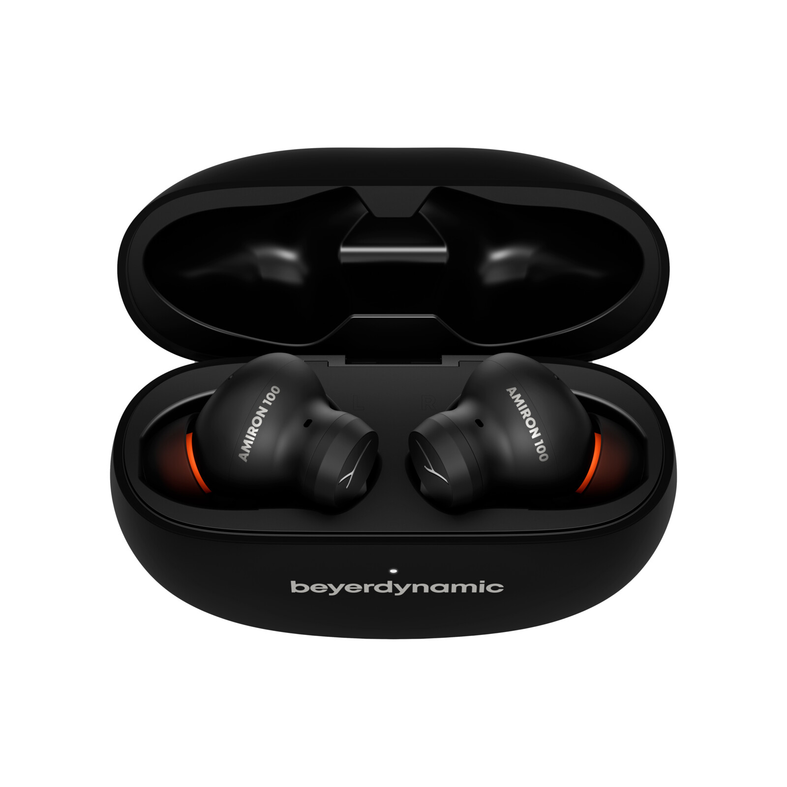 Article_180008165_image_1