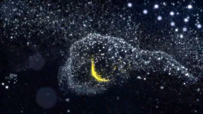 Nikon D6 Geh&auml;use