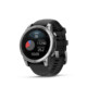 Garmin Fenix E 47mm schwarz/silber