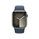 Apple Watch S9 GPS+Cellular Edelstahl silber 45mm S/M sturm