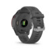 Garmin Forerunner 255 Slate Grey