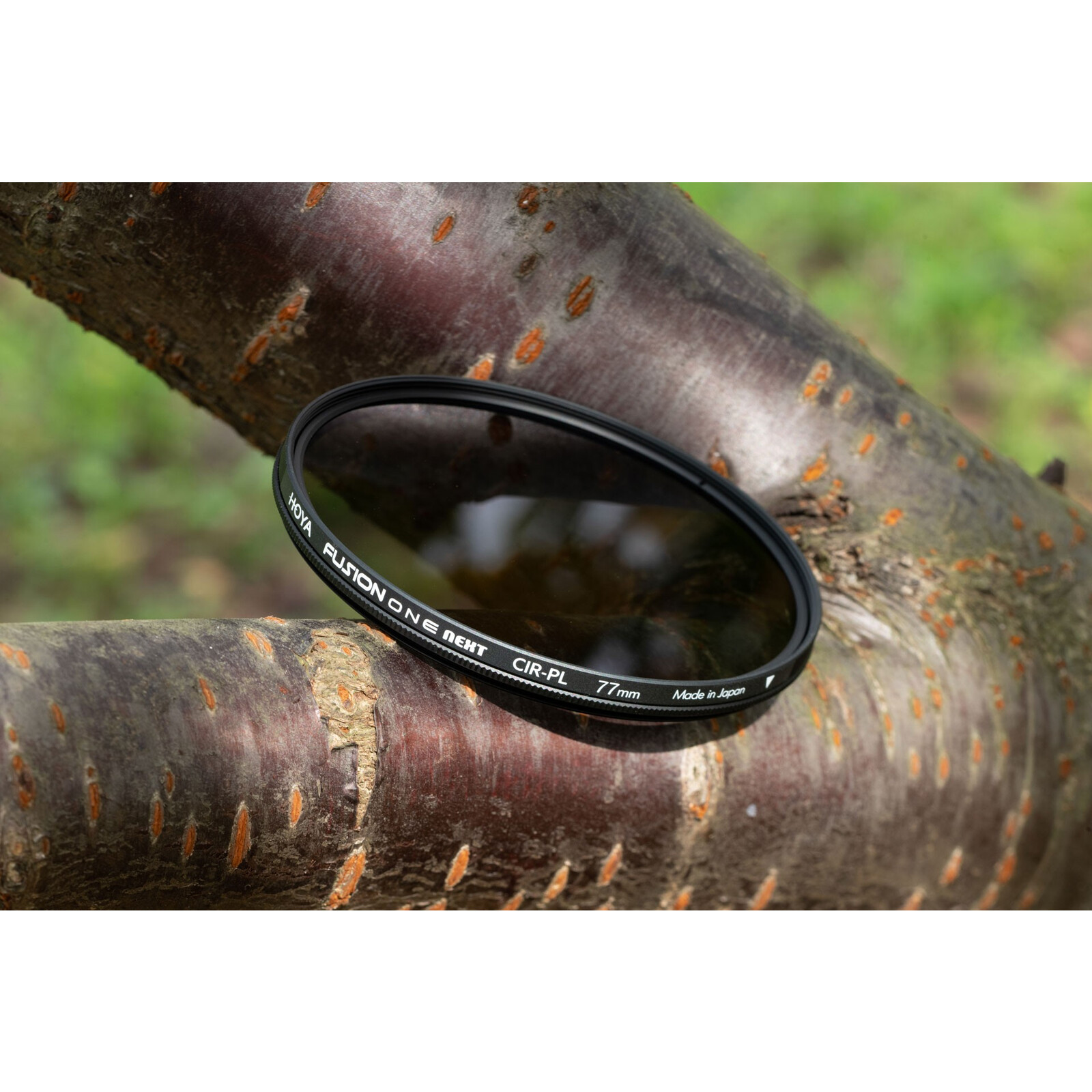 Hoya Fusion One Next POL CIR 62mm 