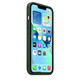 Apple iPhone 13 Leder Case mit MagSafe schwarzgrün