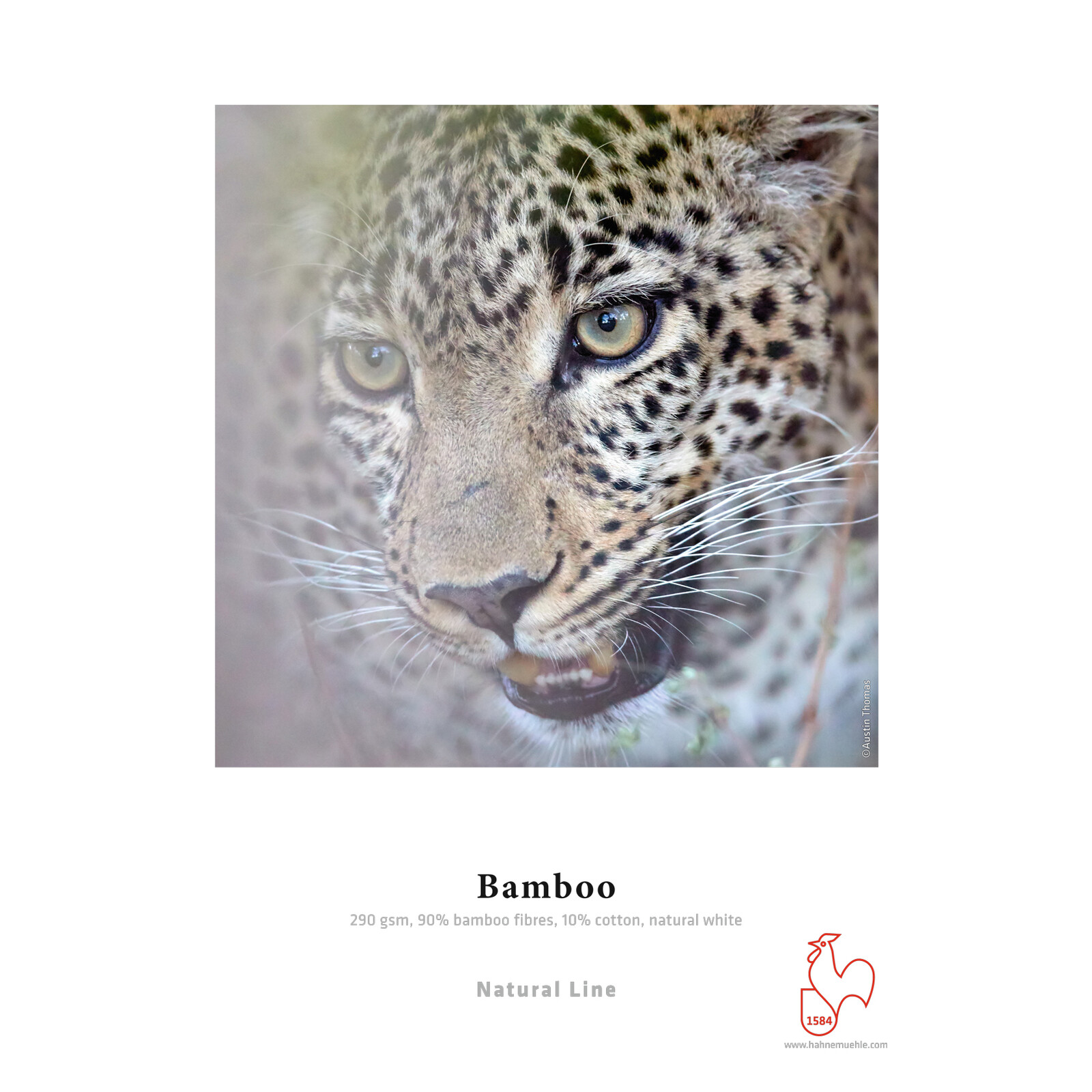 Hahnemühle Bambo 290gsm A3+ 25 Blatt 