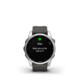 Garmin Fenix 7S silver/graphite