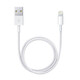 Apple Lightning auf USB Kabel 0,5 Meter