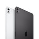 Apple iPad Pro 13" Wi-Fi mit Standardglas, 256GB, space schwarz