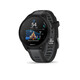 Garmin Forerunner 165,GPS,Black/Slate Grey