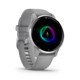 Garmin Venu 2 Plus grau